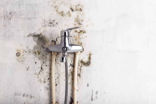 Mold Removal and Inspection in Newkirk, OK