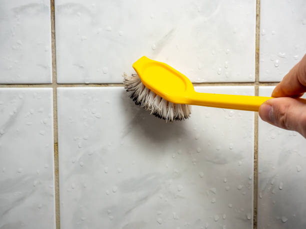 Best Mold Damage Repair  in Newkirk, OK