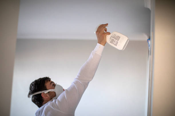 Best Affordable Mold Removal  in Newkirk, OK