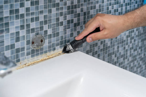 Best Fast Mold Removal  in Newkirk, OK